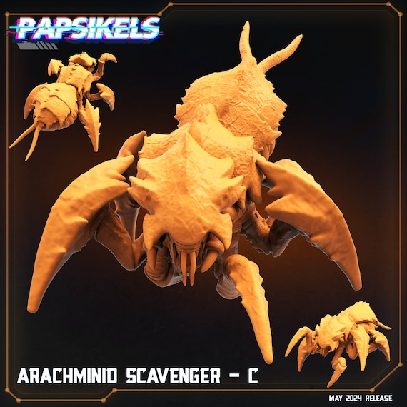 Arachminid Scavenger - C