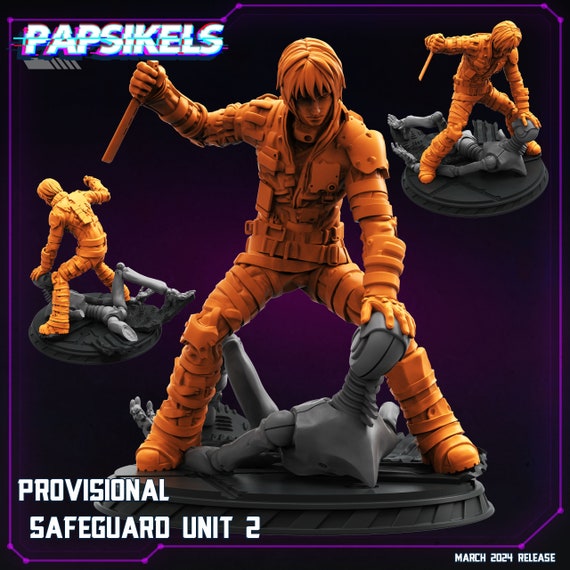 Provisional Safeguard Unit 2