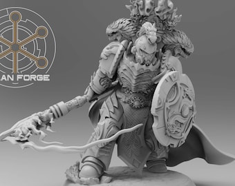 Dragon Knights Captain