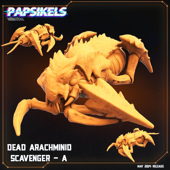 Dead Arachminid Scavenger - A