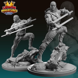May include: Two gray ninja figurines, each posed with swords, stand on rocky bases. The figures are wearing ninja garb and face masks. The logo "LEGION MINIATURES 3D PRINTING DESIGNS" is in the upper left corner.