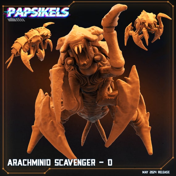 Arachminid Scavenger - D