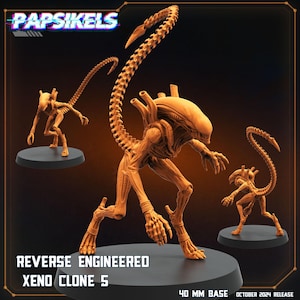 May include: Three detailed, tan-colored Xenomorph figures on black bases. The central figure is the largest, with a long, segmented tail. The text "REVERSE ENGINEERED XENO CLONE 5" and "40 MM BASE OCTOBER 2024 RELEASE" are visible.