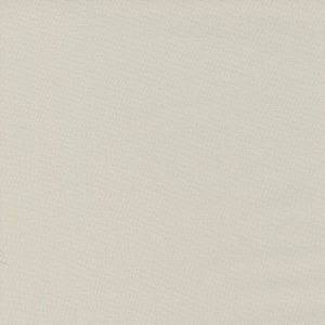 May include: A plain, off-white canvas texture with a subtle woven pattern.