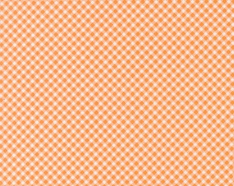 Strawberry Lemonade | Gingham Checks and Plaids Apricot