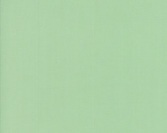 Bella Solids | Mint
