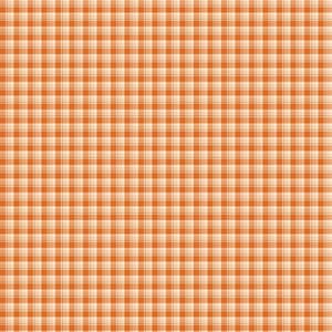 Awe of Autumn | Plaid Orange