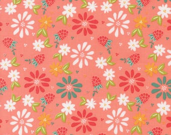 Raspberry Summer | Spring Berries and Florals Carnation