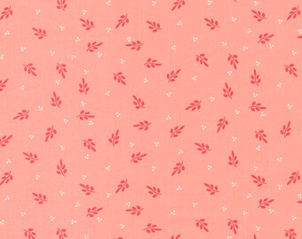Favorite Things | Holly Blush