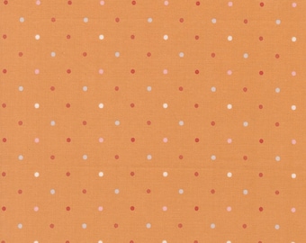 Wild Honey | Magic Dot Honey