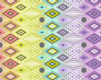 Tabby Road Deja Vu Minky | Disco Lucy - Prism Minky