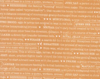 Wild Honey | Buzz Words Honey