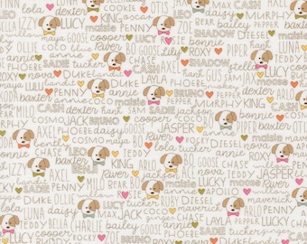 Lucky | Buddies Text and Words Cloud