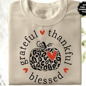 Grateful Thankful Blessed Pumpkin Sweater – Leopard & Sequin Embellished Fall Knit Size 3X