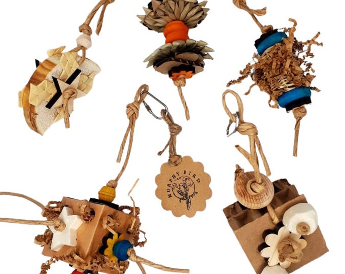 BIRD TOY BOX for Small Beaks, 5 Parakeet/budgie All Natural Safe Parrot