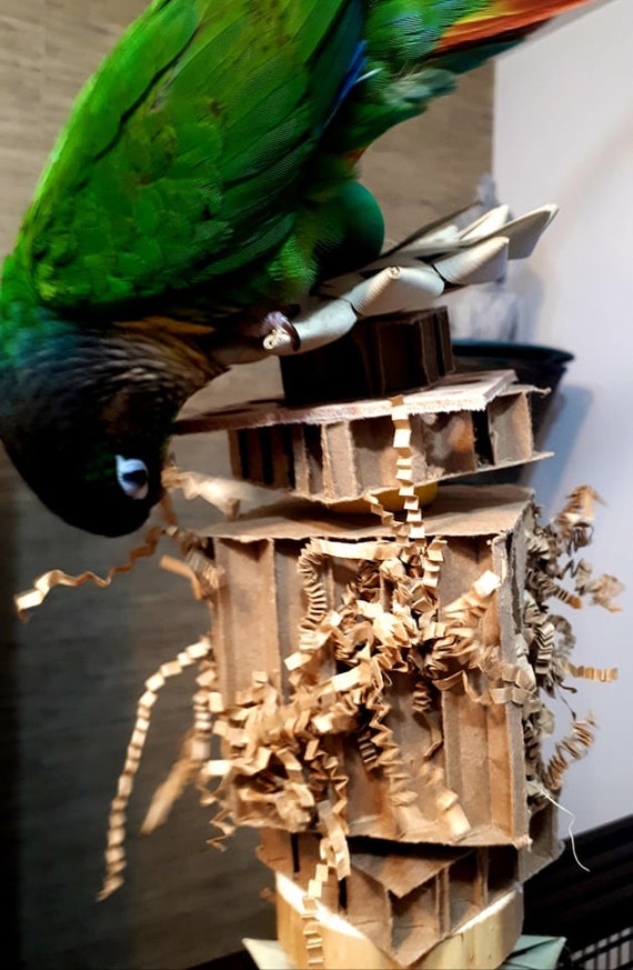 vencimiento esta ahí grua Parrot BUNDLE BOX de 2 juguetes de forrajeo para aves medianas - Etsy España vencimiento esta ahí grua Parrot BUNDLE BOX de 2 juguetes de forrajeo para aves medianas - Etsy España