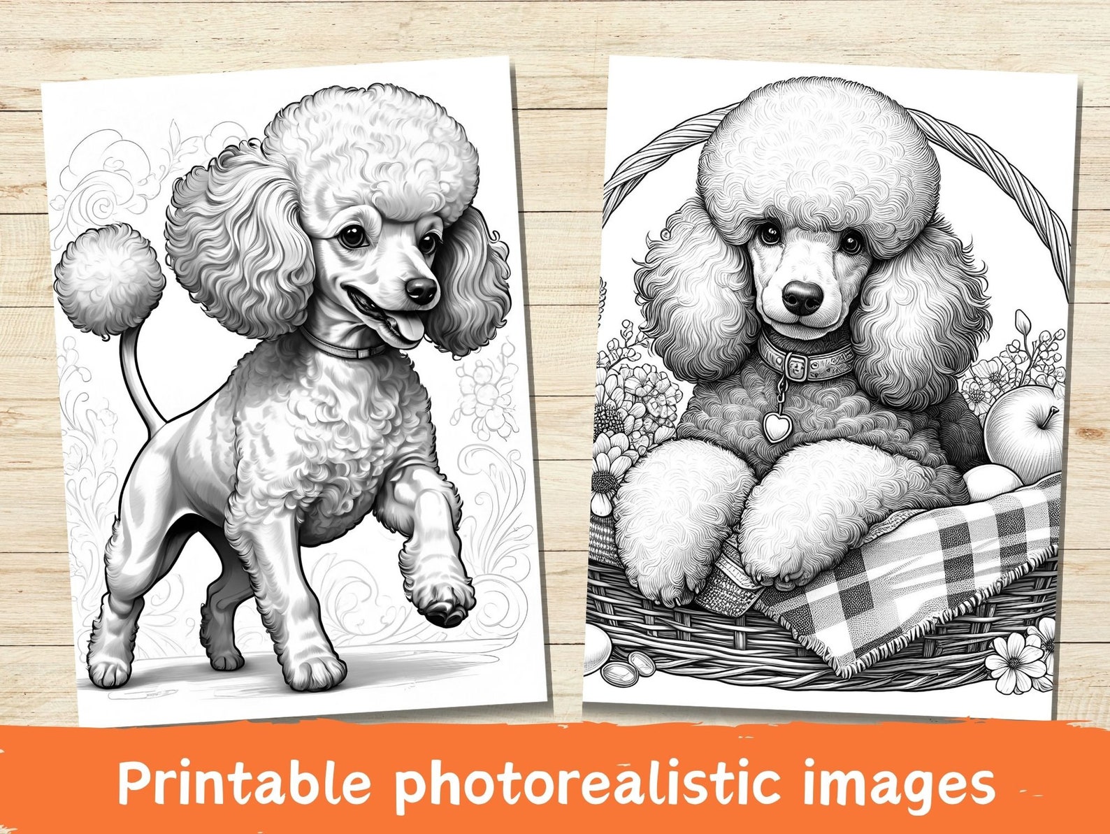 30 Poodle Coloring Pages, Poodle, Coloring Pages, Adult Coloring ...