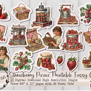 Fraise pique-nique coupe difficile éphémères - Scrapbooking imprimable téléchargement numérique Junk Journal vintage Fraises, paniers, confitures shabby chic