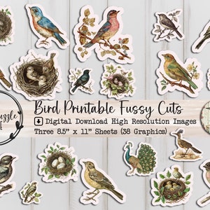 Páginas efímeras de aves con recortes quisquillosos - 38 páginas imprimibles digitales de alta calidad - Diario basura con aves rústicas - Scrapbooking vintage - Aves digitales