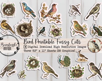 Vintage Bird Fussy Cuts – Printable Junk Journal Ephemera (Digital Download)