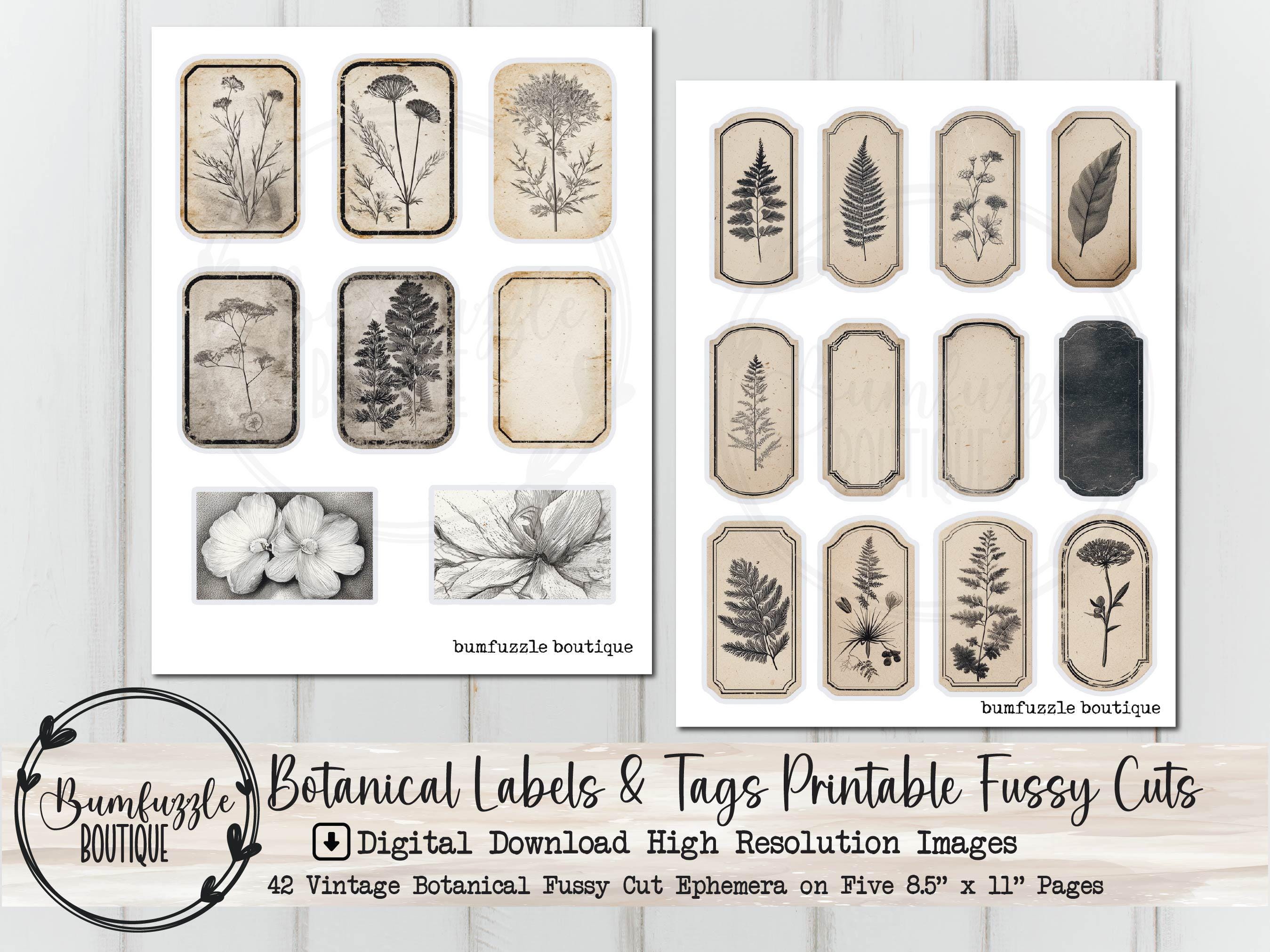 Vintage Botanical Labels and Tags Fussy Cuts – Printable Junk Journal ...
