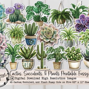 Cactus, plantes succulentes et plantes éphémères coupées délicates - 45 haute qualité imprimable en téléchargement numérique - Junk Journal, scrapbooking, plantes d'intérieur