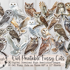 Páginas efímeras recortadas con búhos - 26 páginas digitales imprimibles de alta calidad - Diario basura con pájaros rústicos - Scrapbooking vintage - Owl Digital