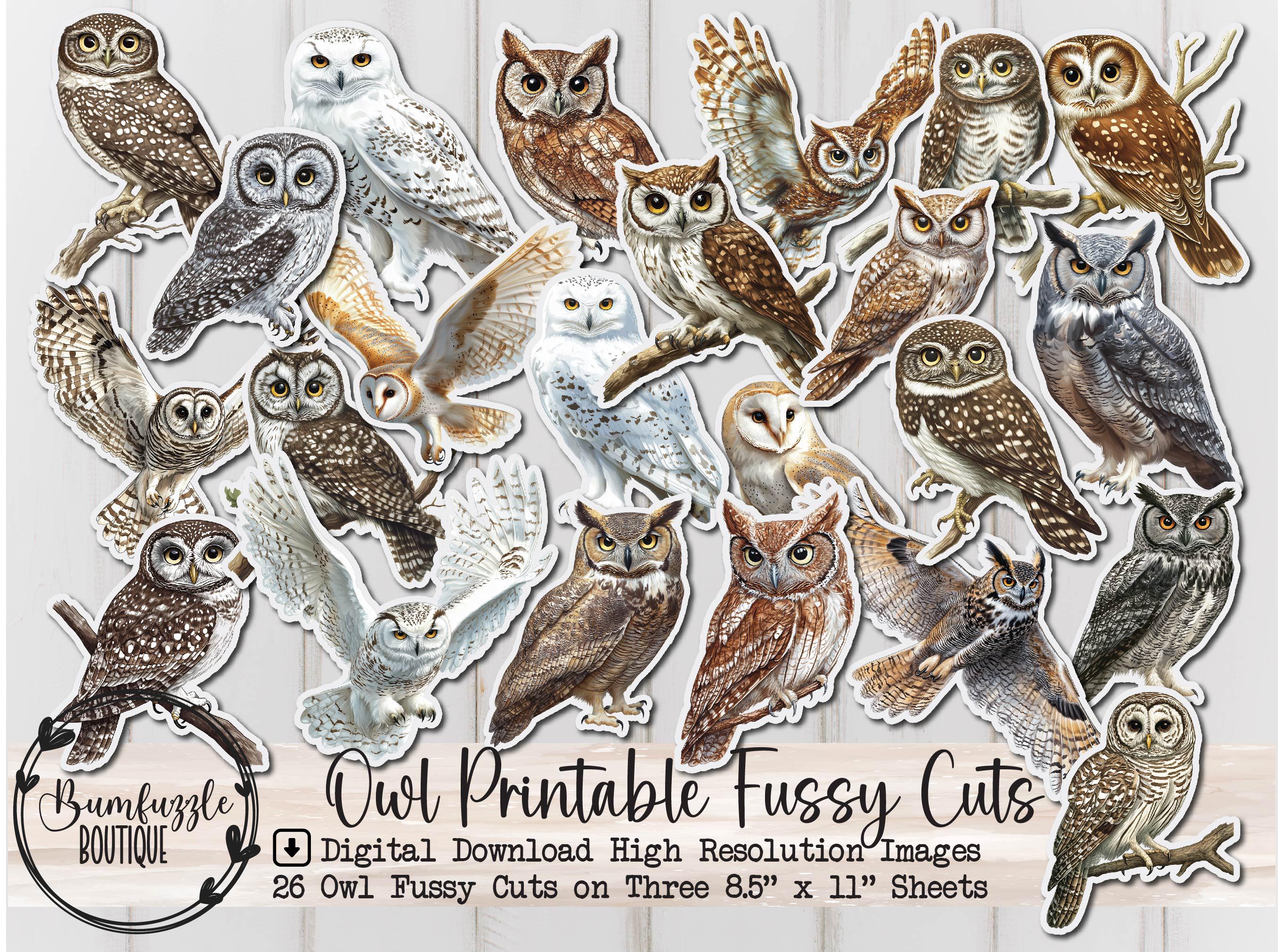 Páginas efímeras recortadas con búhos - 26 páginas digitales imprimibles de alta calidad - Diario basura con pájaros rústicos - Scrapbooking vintage - Owl Digital