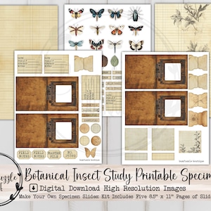 Kit de lames de spécimens d'étude d'insectes botaniques - Pages imprimables en téléchargement numérique - Junk Journal, scrapbooking, plantes, coupes difficiles vintage, étiquettes