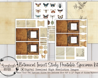 Könnte beinhalten: Ein digitaler Download-Bausatz für botanische Insektenstudien mit Ephemera im Vintage-Stil. Das Set enthält 21,6 cm x 28 cm große Seiten mit Dias und Ephemera. Das Design zeigt Schmetterlinge, Insekten und gealterte Papiertapeten.