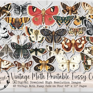 Páginas de efímeras recortadas con motivos de polillas antiguas: 48 páginas digitales imprimibles de alta calidad para descargar: diario basura, mariposas, álbumes de recortes, insectos, muestras de bichos