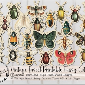 Vintage insectes - 36 pages en téléchargement numérique imprimable de haute qualité - Junk Journal Supplies, Scrapbooking Specimen Card Bug