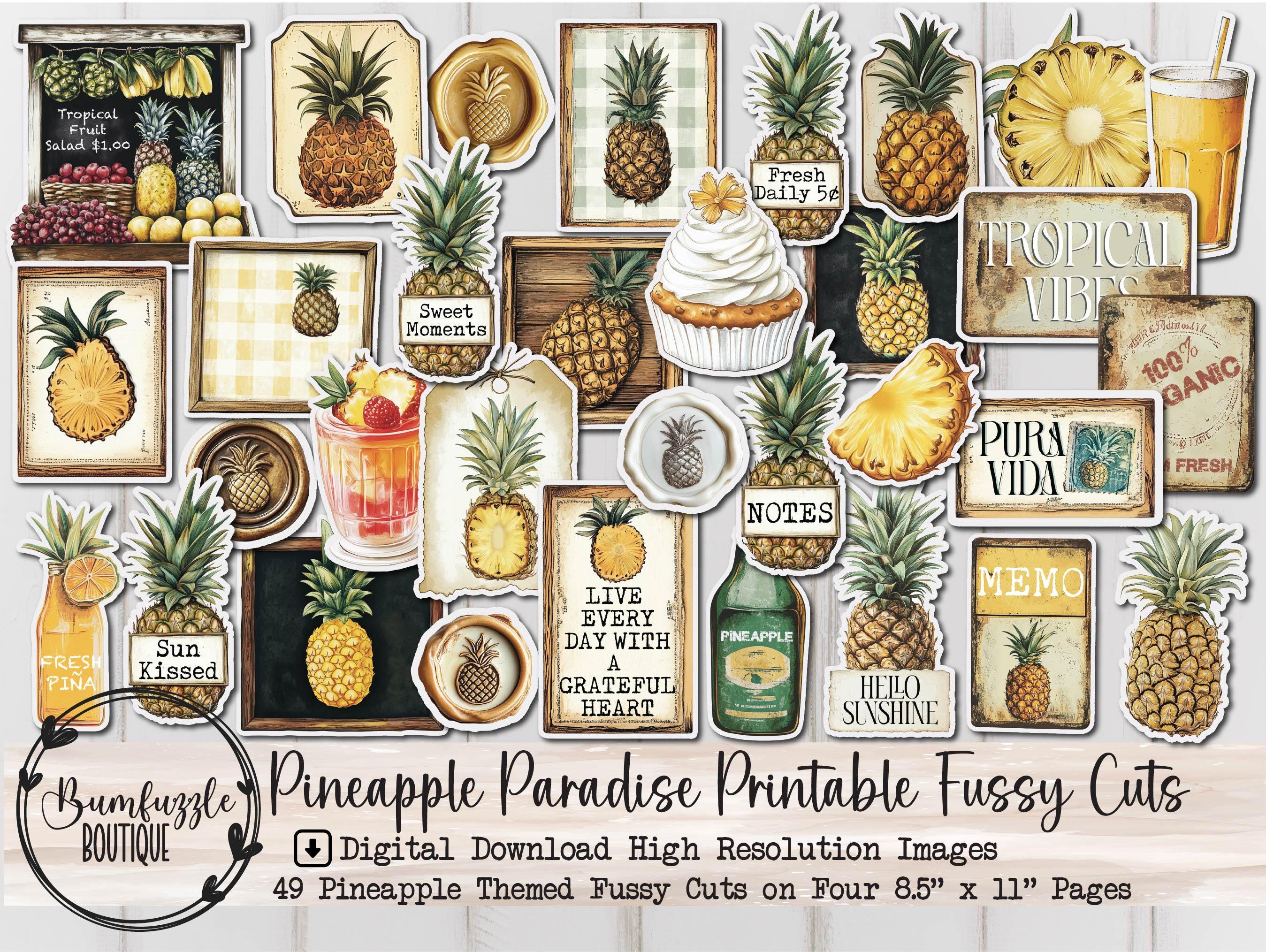 Piña de fiesta - Etsy México, image size:2698x2029