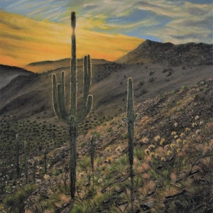 Arizona desert painting Arizona landscape cactus desert art Four Peaks Arizona wall art Sonoran Desert painting Nature vintage oil painting