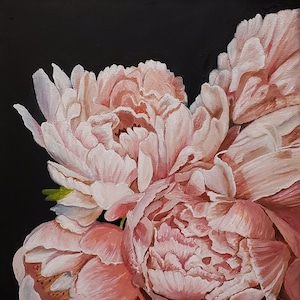 Buy Pink Peony Original Oil Painting, Floral Still Life Wall Art, Coral Charm Peonies Small Canvas Art