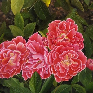 シュラブ ローズ オリジナル油絵 - 花束の静物画、11x14 インチ、キャンバス アート、バラの室内装飾