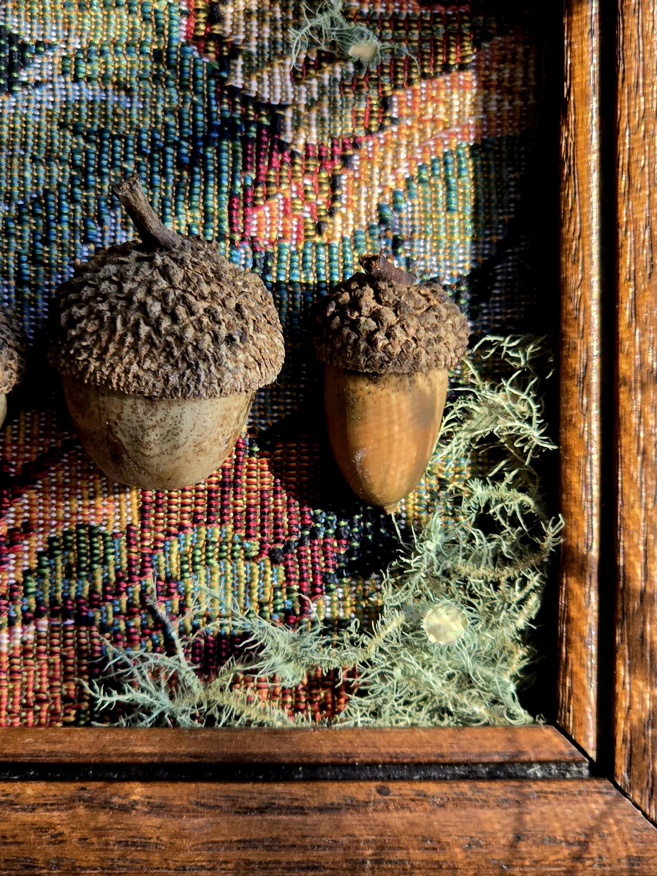 Framed Woodland Acorn & Usnea Display – Vintage Tapestry Botanical Wall ...