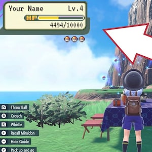 May include: A video game screen showing a character standing in front of a waterfall and a cliff. The character is wearing a blue shirt and a backpack. The character is facing a table with a blue tablecloth and a few items on it. The character is level 4 and has 4494 out of 10000 health points. The character has three Poké Balls. The screen also shows a menu with options such as "Throw Ball", "Crouch", "Whistle", "Recall Miraidon", "Hide Guide", and "Pack up and go".