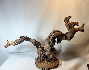 Large Natural Driftwood Sculpture – Twisted Root Wood Art Rustic Nature Décor