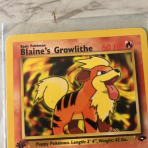 以下が含まれることがあります： Blaine's Growlitheのポケモンカード。カードは黄色の縁取りで、オレンジと黒の毛並みのGrowlitheのイラストが表示されています。テキストには「Puppy Pok&eacute;mon. 長さ：71 cm、重量：19 kg」と記載されています。
