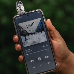 Puede incluir: Un smartphone con una funda transparente muestra una interfaz de reproductor de m&uacute;sica con el texto "I am NOT" y "3rd Eye Stray Kids". Una peque&ntilde;a figura de lobo gris est&aacute; encima. El fondo es verde borroso.