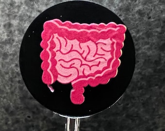 3D Small Bowel & Colon Wine Stopper