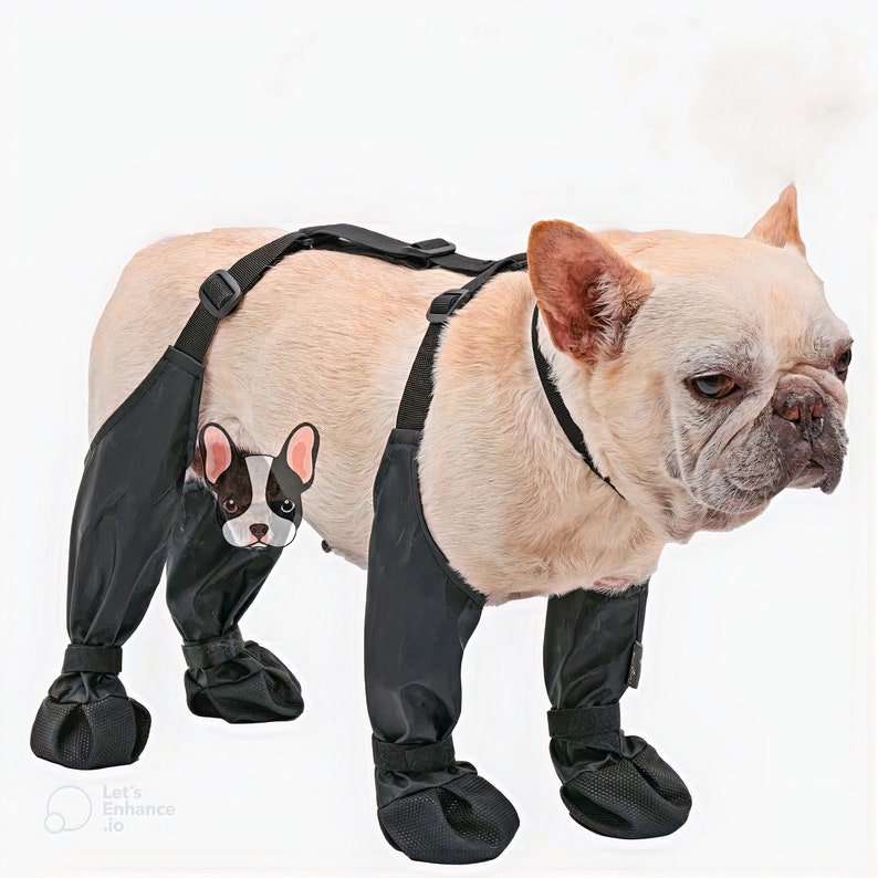 Suspender Dog Boots, Dog Boot Leggings With Adjustable Collar