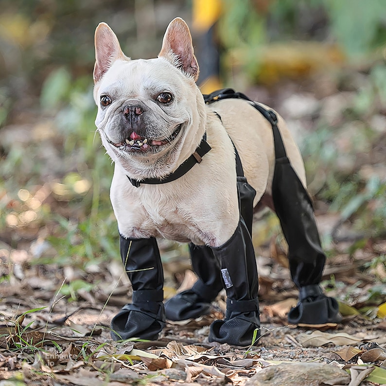 Suspender Dog Boots, Dog Boot Leggings With Adjustable Collar
