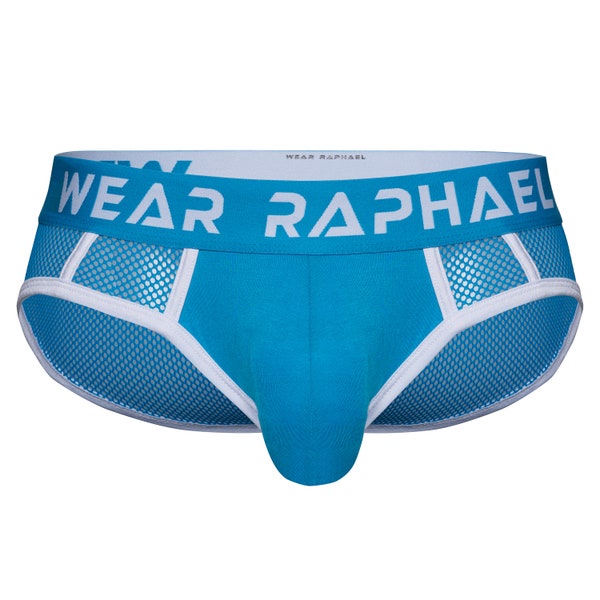 WR2 Mens Mesh blue Briefs