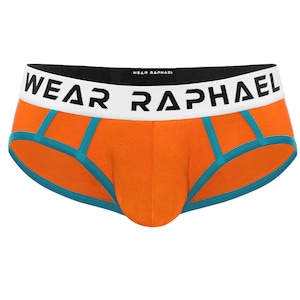 WR4 Mens Orange Briefs