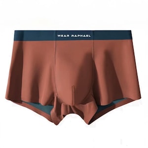May include: A pair of brown underwear with a navy blue waistband that says "WEAR RAPHAEL".