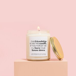 Funny Friendship Candle, Sarcastic candle for Friend, Funny Bff Gift, Tomorrow isn't promised be a hoe today, Holiday Bestie Gift Friendship is Like This Candle