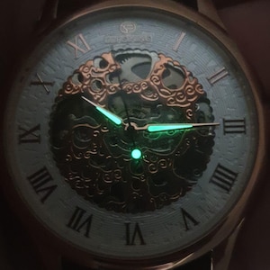Pode incluir: Um rel&oacute;gio de pulso com mostrador branco com marcadores de hora em algarismos romanos e um movimento esquel&eacute;tico dourado vis&iacute;vel atrav&eacute;s do mostrador. As ponteiras do rel&oacute;gio e os marcadores de hora brilham em verde no escuro.