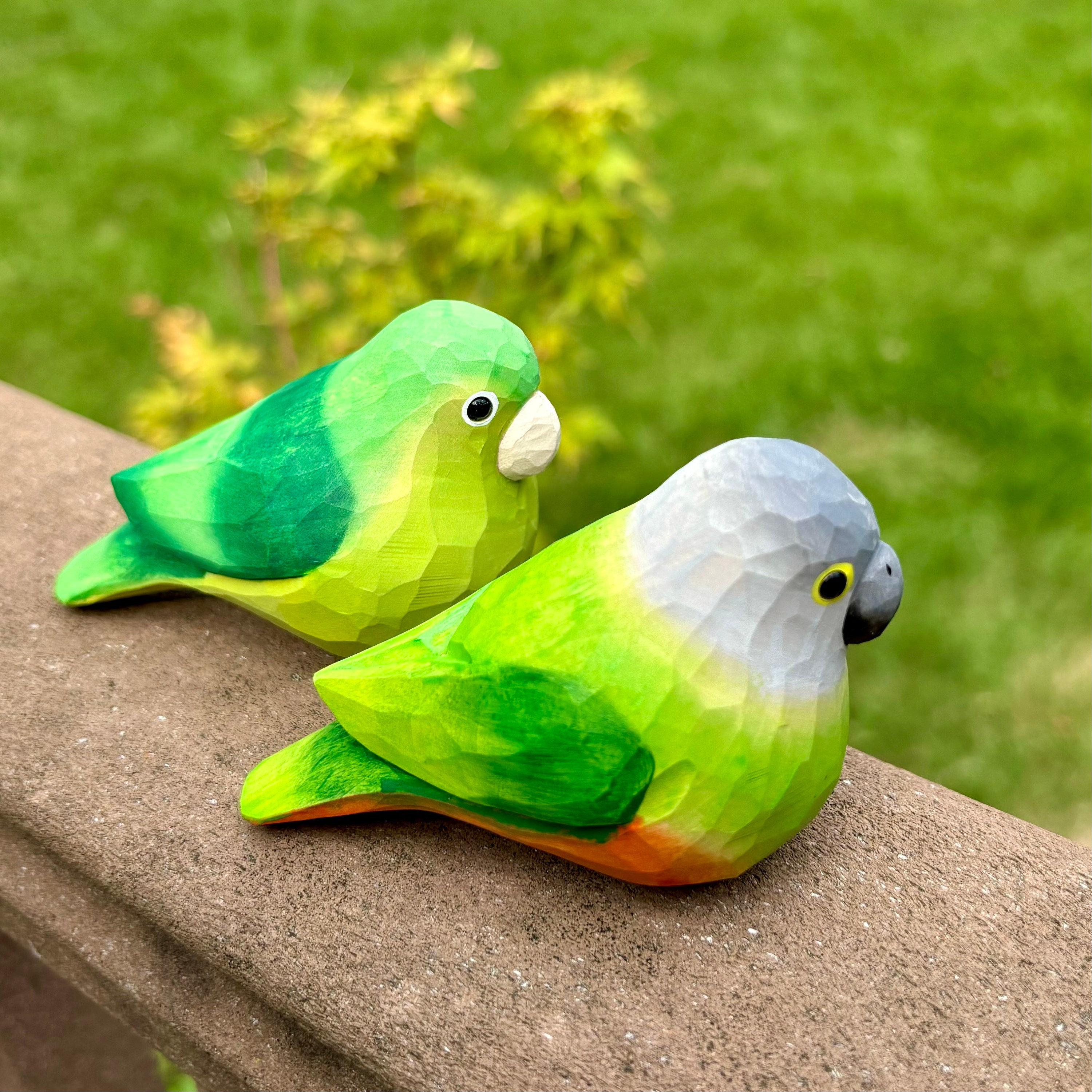 Cockatoo Funny Bird Videos 2021 Cute Baby And Parrot Compilation